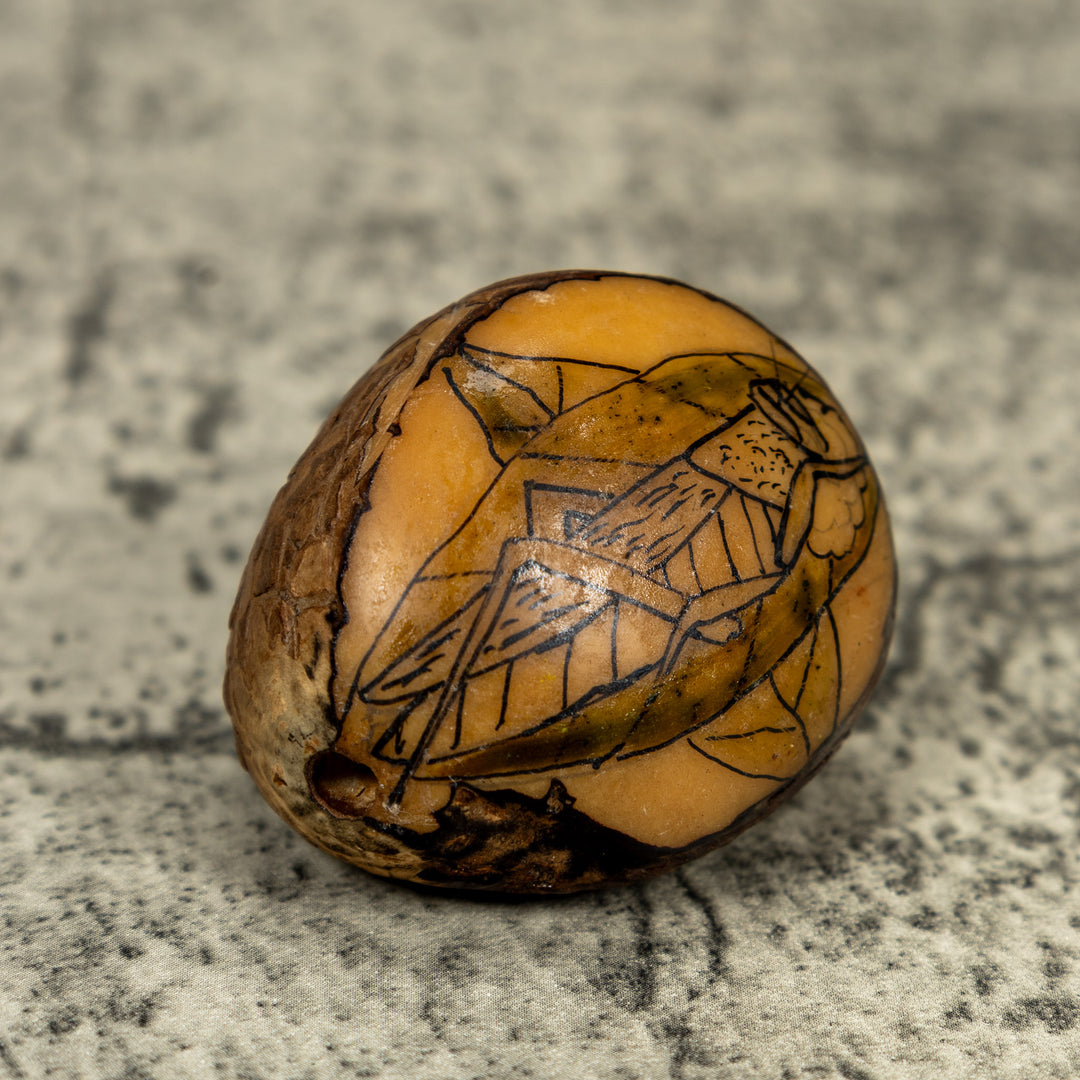 Vintage Grabado (Etched) Grasshopper Tagua Carving