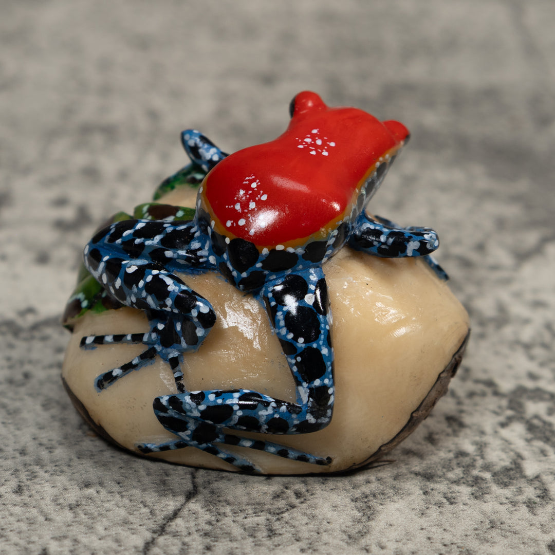 Red And Blue Poison Dart Frog Tagua Carving