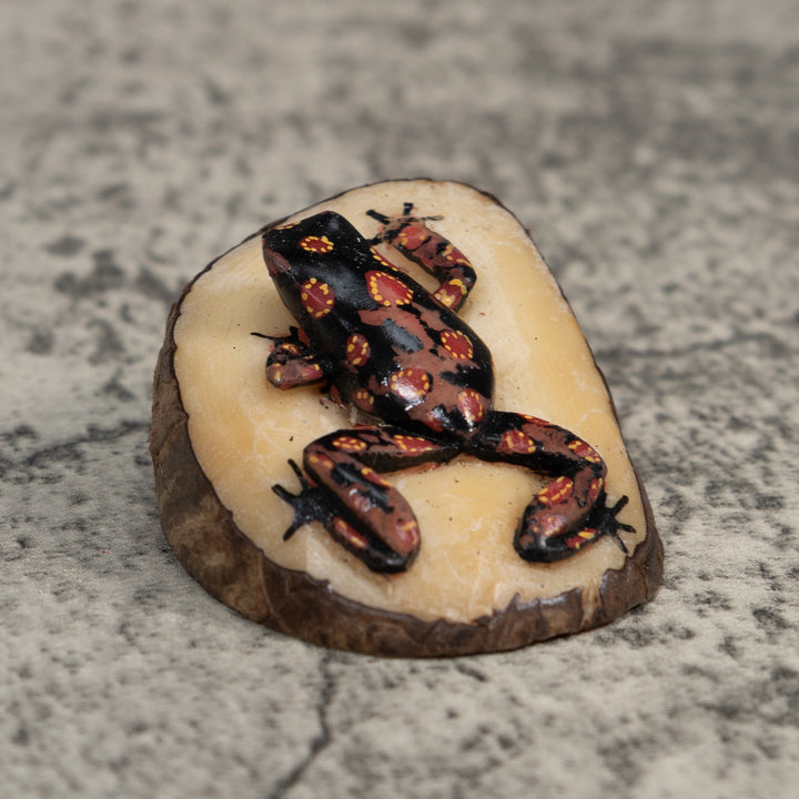 Black Red And Yellow Frog Tagua Carving