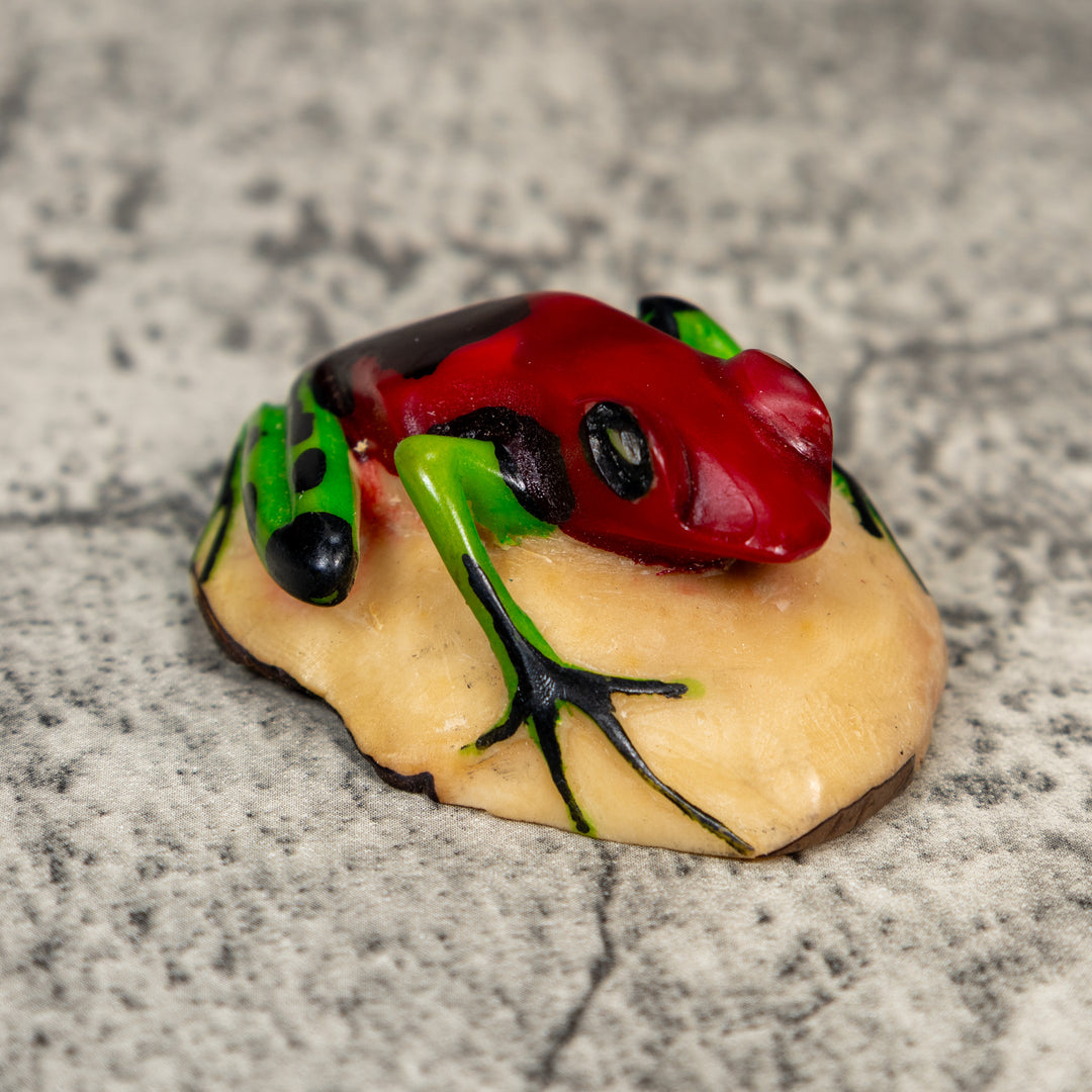 Red And Green Poison Dart Frog Tagua Carving