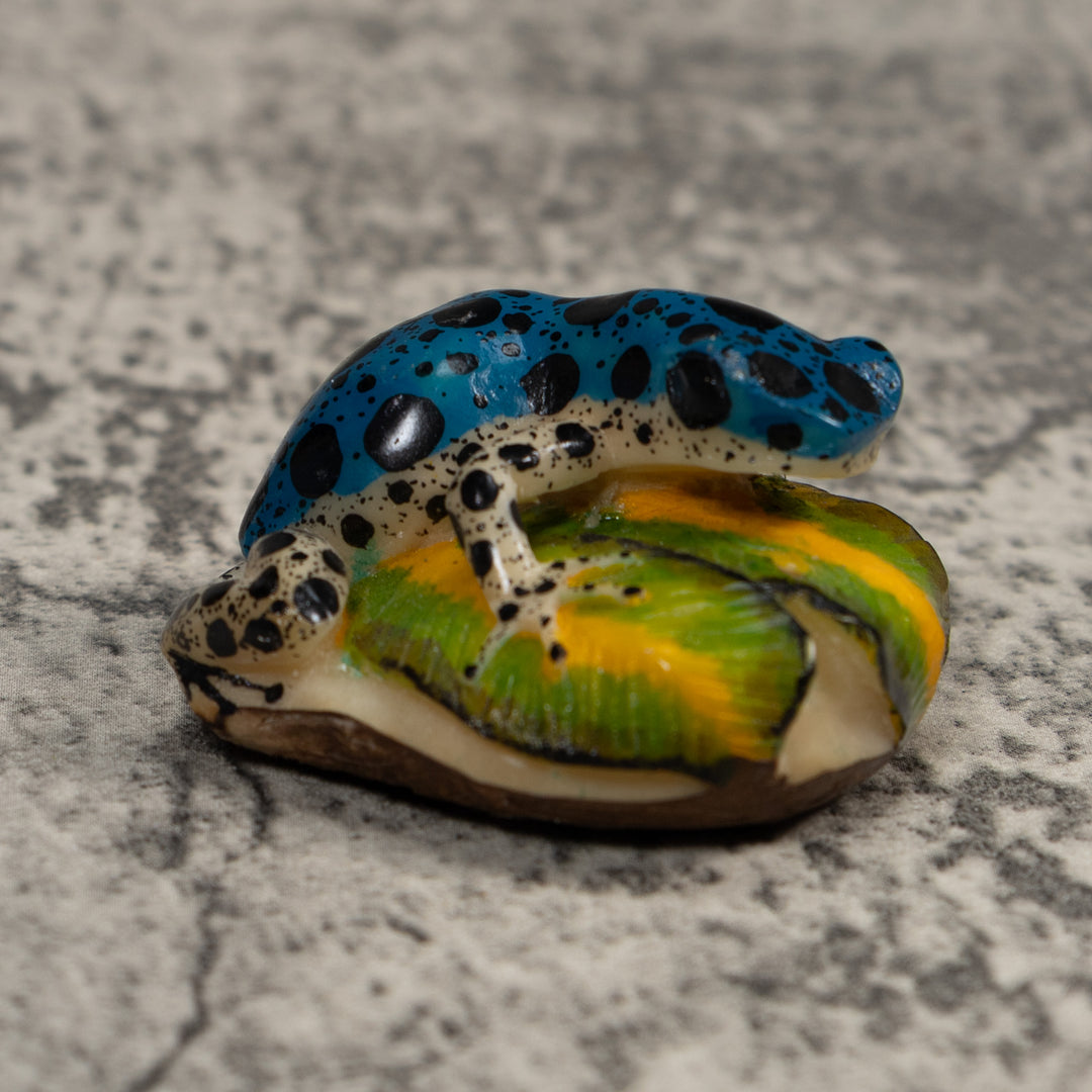 Blue And White Dart Frog Tagua Carving