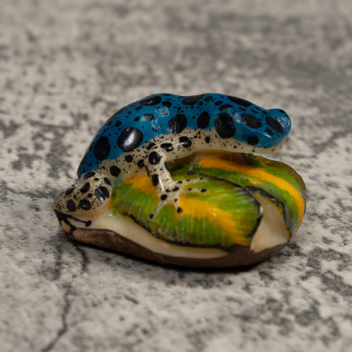 Blue And White Dart Frog Tagua Carving