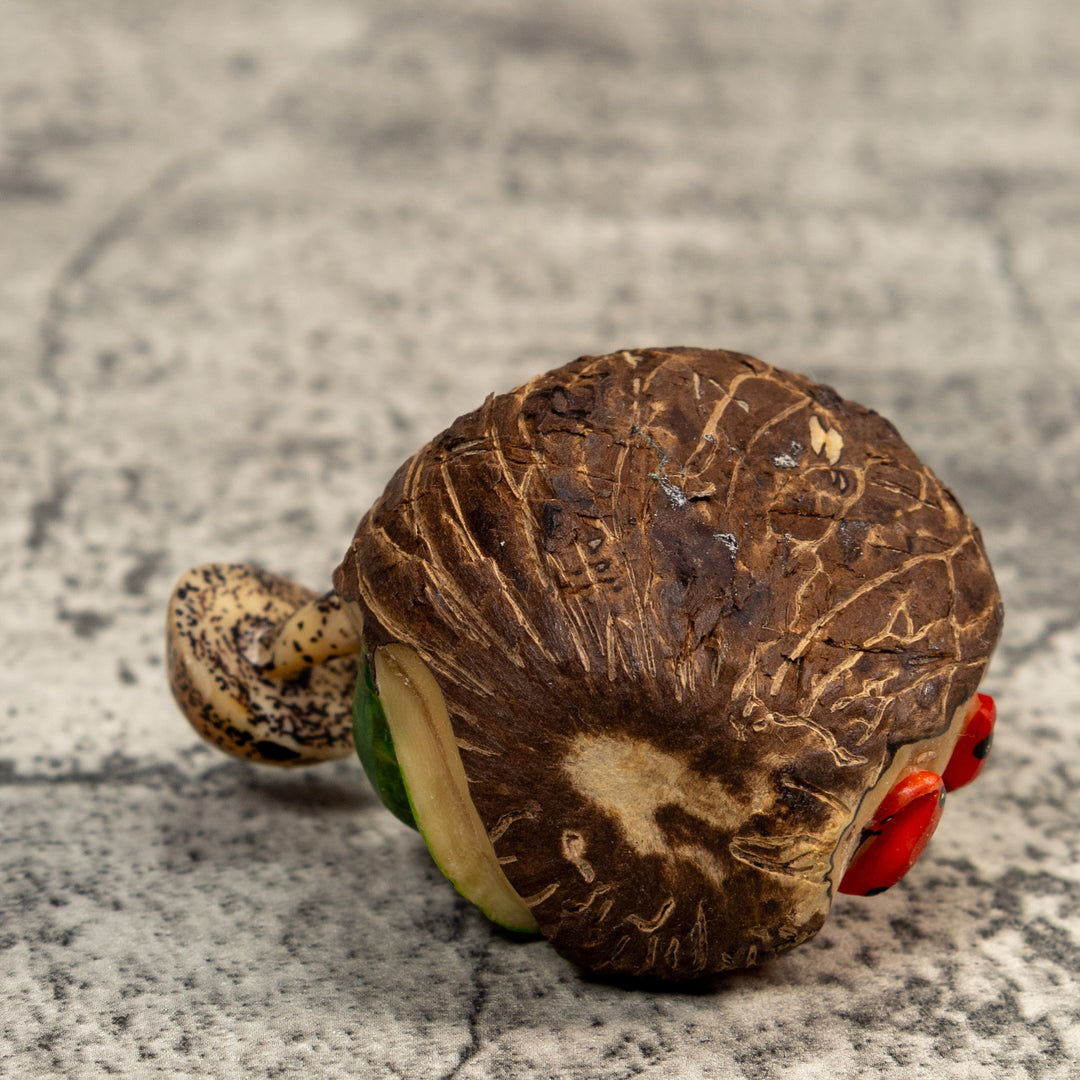 Poison Dart Frog With Mushroom Tagua Carving