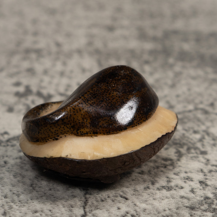 Brown Ocean Stingray Tagua Carving