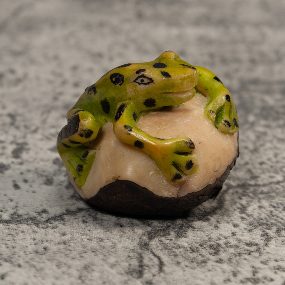 Vintage Green And Black Poison Dart Frog Tagua Carving