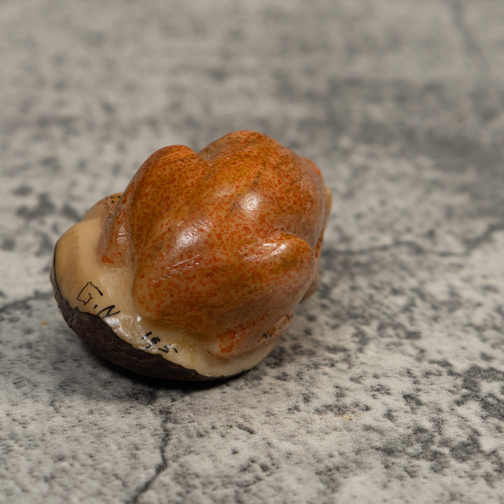Rose Gold Jungle Critter Tagua Carving