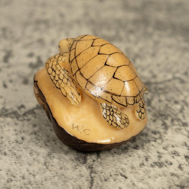 Vintage Black And White Sea Turtle Tagua Carving
