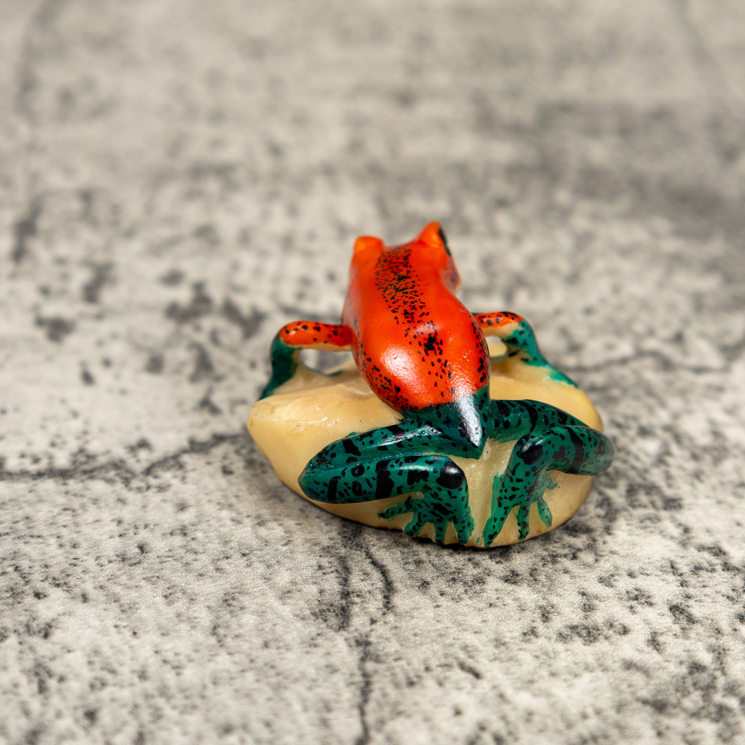 Red And Blue Poison Dart Frog Tagua Carving