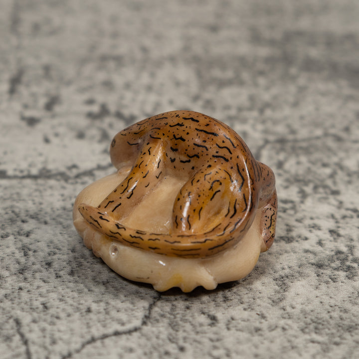 Vintage Brown And Black Gecko Lizard Tagua Carving
