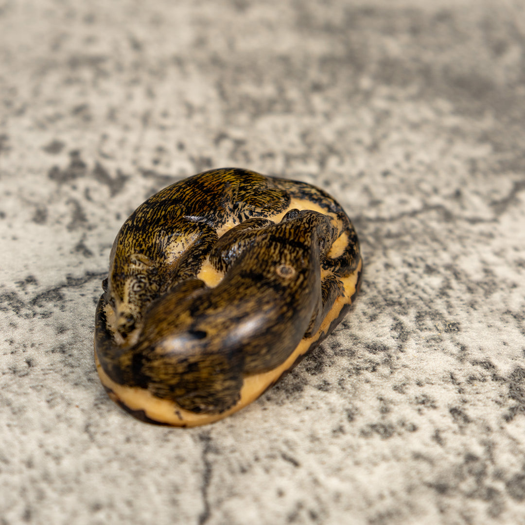 Double Coatimundi Tagua Carving