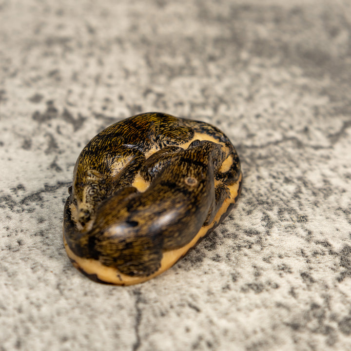 Double Coatimundi Tagua Carving