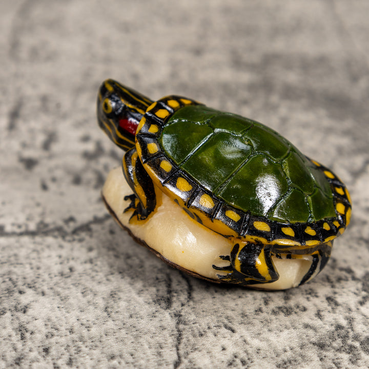 Green Yellow Tortoise Turtle Tagua Carving