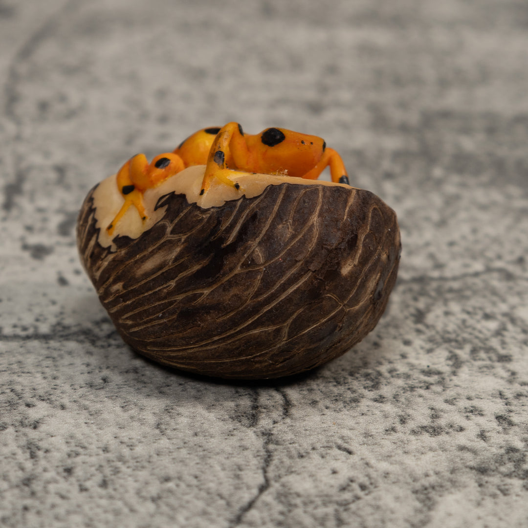 Vintage Black And Golden Frog Tagua Carving