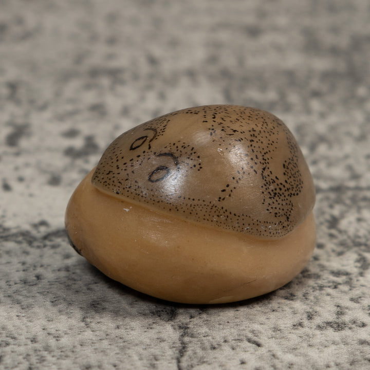 Vintage Ocean Stingray Tagua Carving