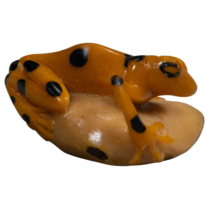 Vintage Golden Frog Tagua Carving