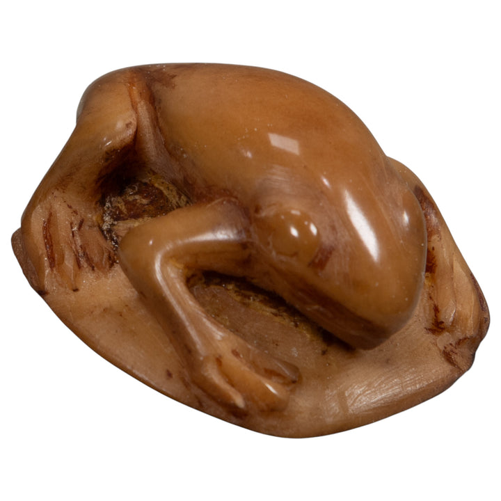 Vintage Brown Frog Tagua Carving