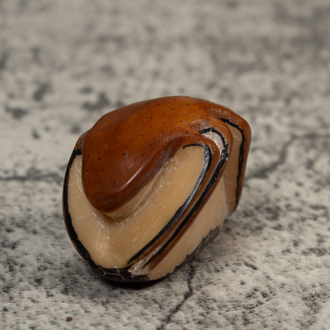Vintage Brown Insect Tagua Carving