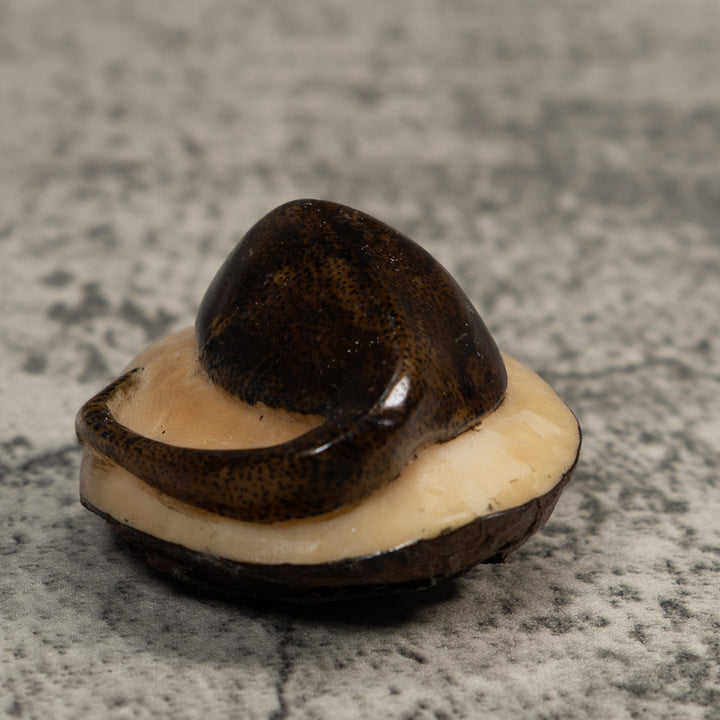 Brown Ocean Stingray Tagua Carving
