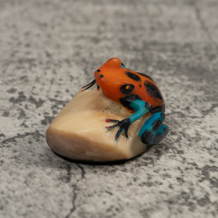 Red Blue And Black Poison Dart Frog Tagua Carving