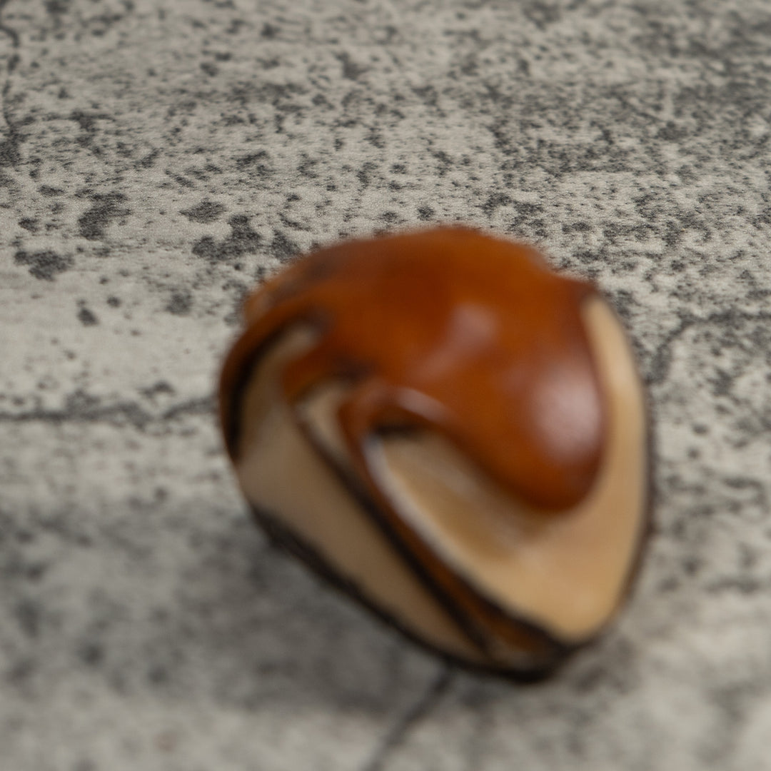 Vintage Brown Insect Tagua Carving