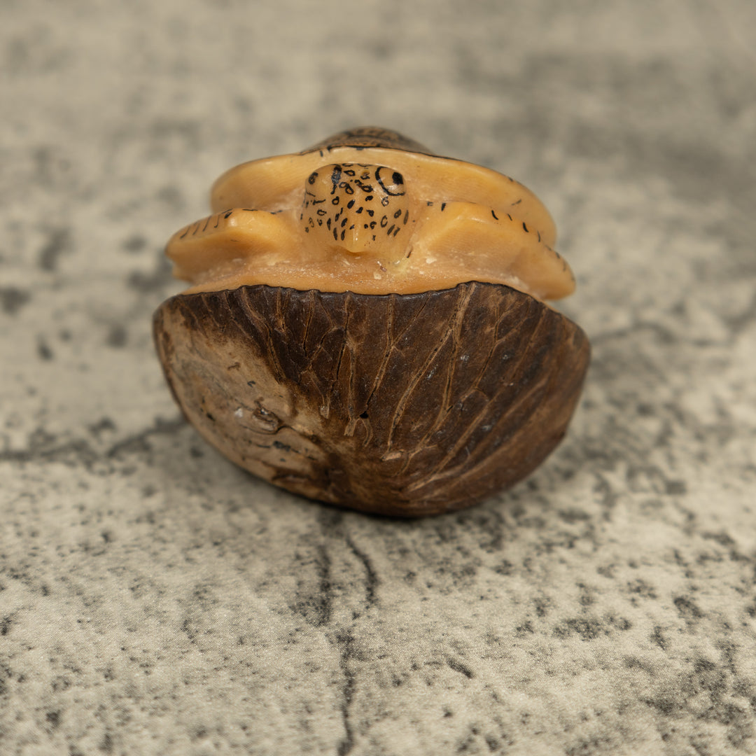 Vintage Sea Turtle Tagua Carving