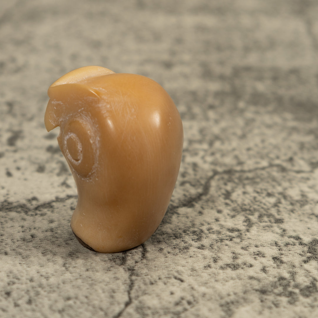 Vintage Natural White Owl Bird Tagua Carving
