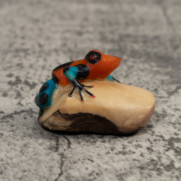 Red Blue And Black Poison Dart Frog Tagua Carving