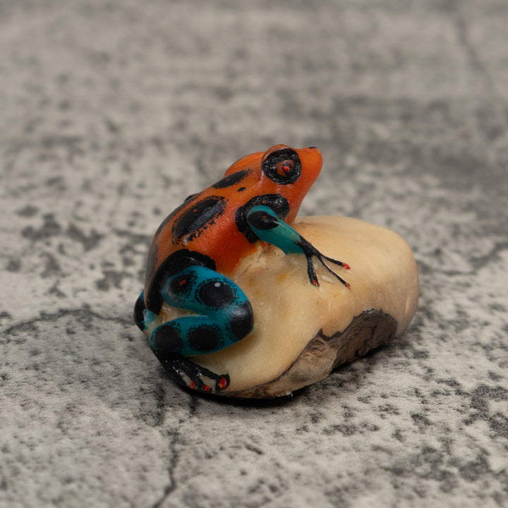 Red Blue And Black Poison Dart Frog Tagua Carving