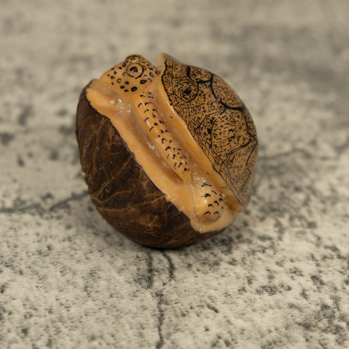 Vintage Sea Turtle Tagua Carving