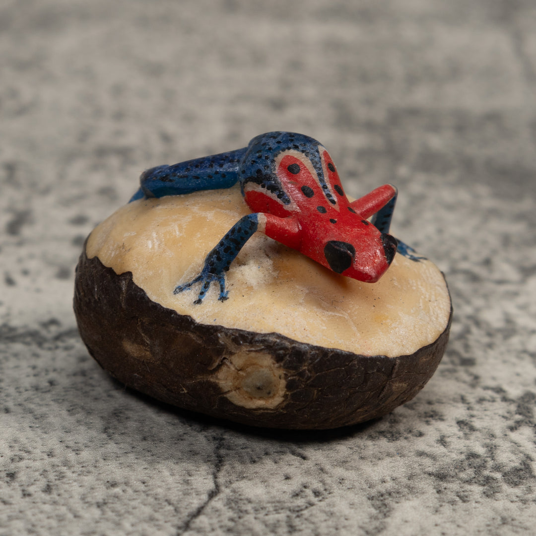 Red And Blue Poison Dart Frog Tagua Carving