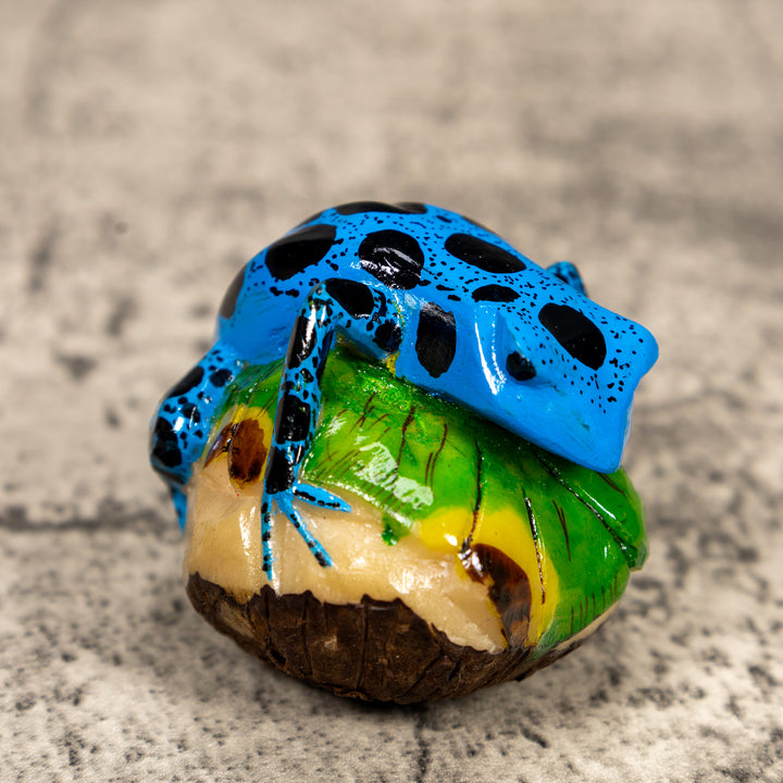 Blue And Black Poison Dart Frog Tagua Carving