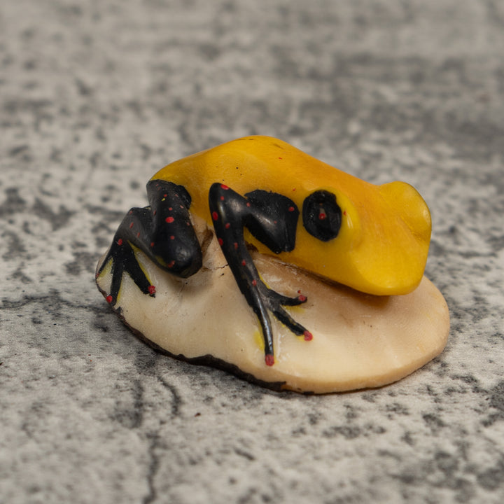 Vintage Black Red And Yellow Frog Tagua Carving