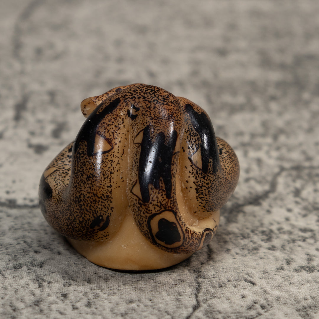 Brown And Black Boa Snake Tagua Carving