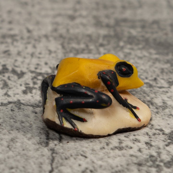 Vintage Black Red And Yellow Frog Tagua Carving