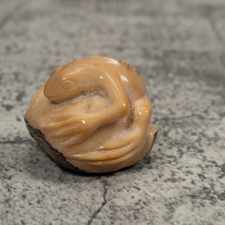 Vintage White Natural Iguana Tagua Carving