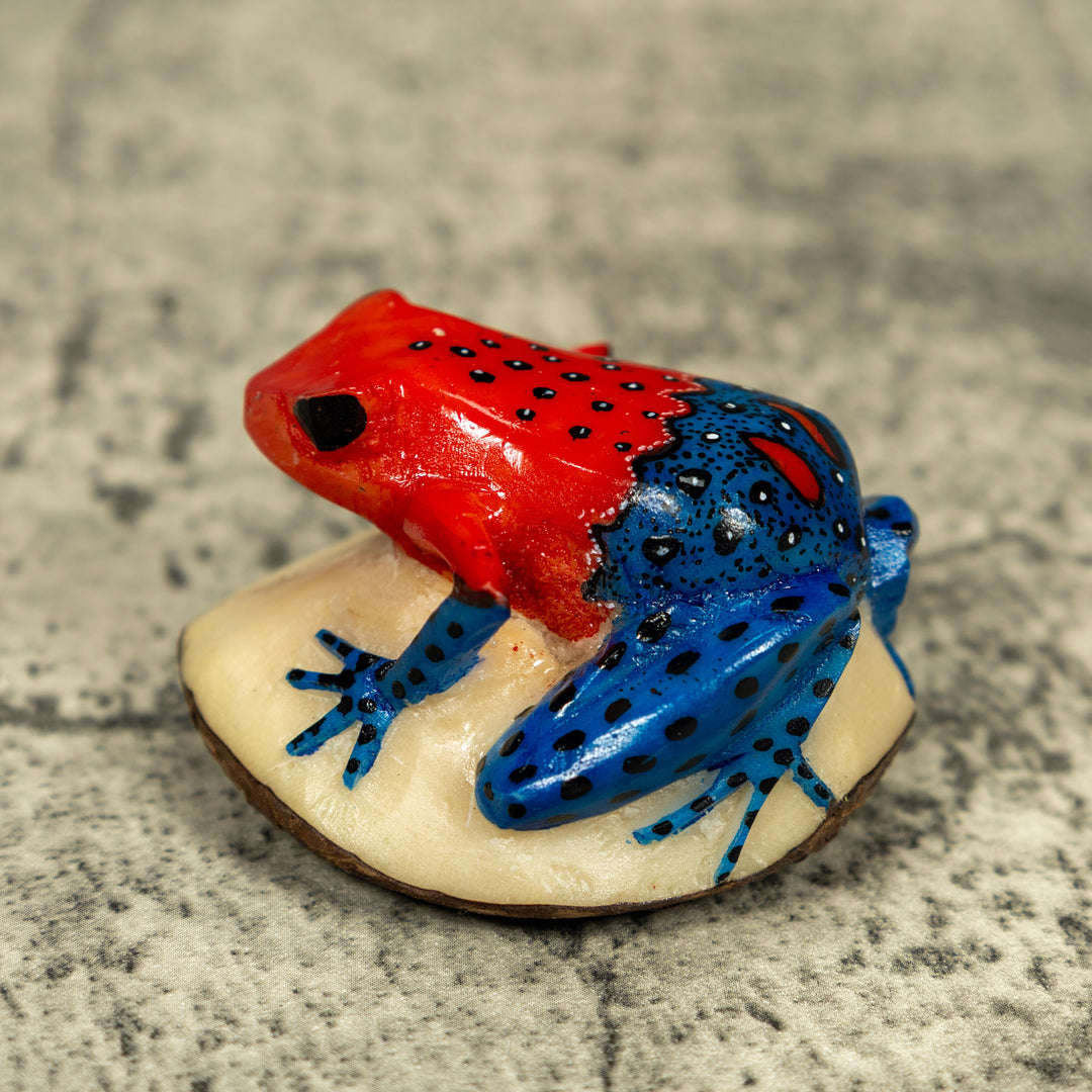 Red And Blue Poison Dart Frog Tagua Carving