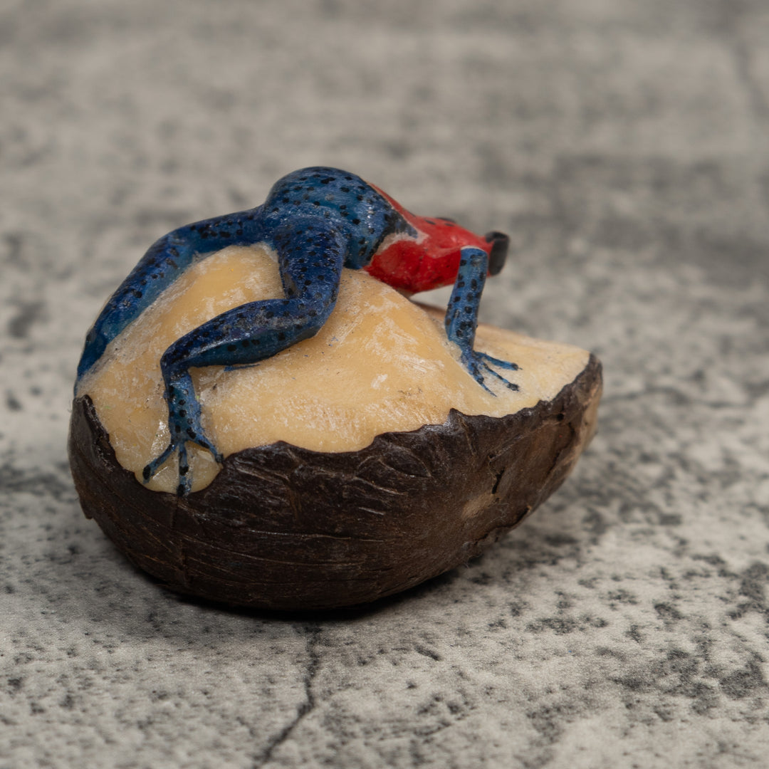 Red And Blue Poison Dart Frog Tagua Carving