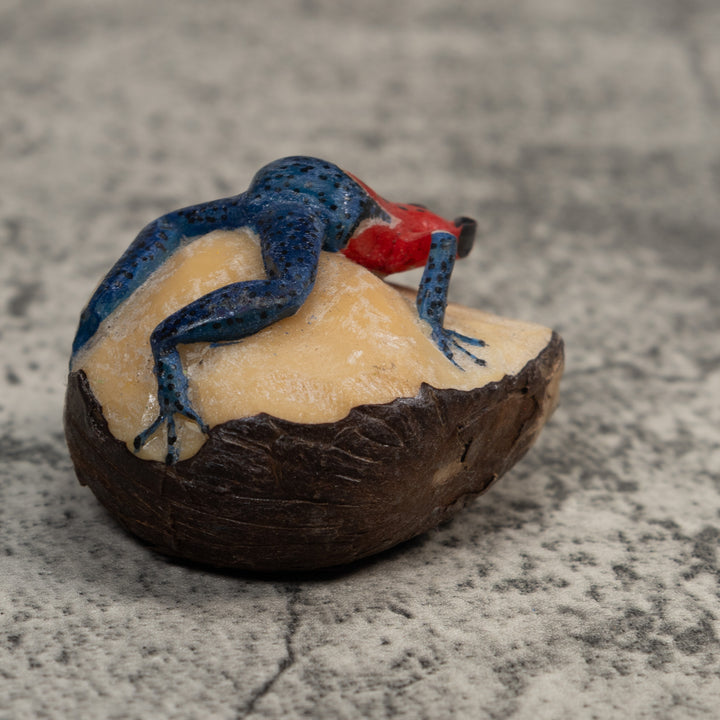 Red And Blue Poison Dart Frog Tagua Carving
