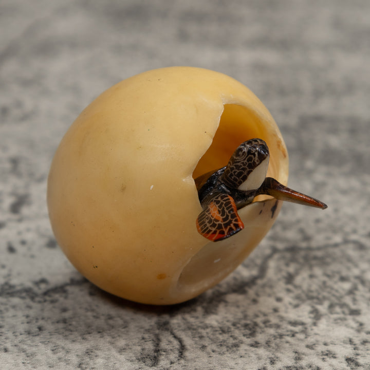 Sea Turtle Emerging From Egg Tagua Carving
