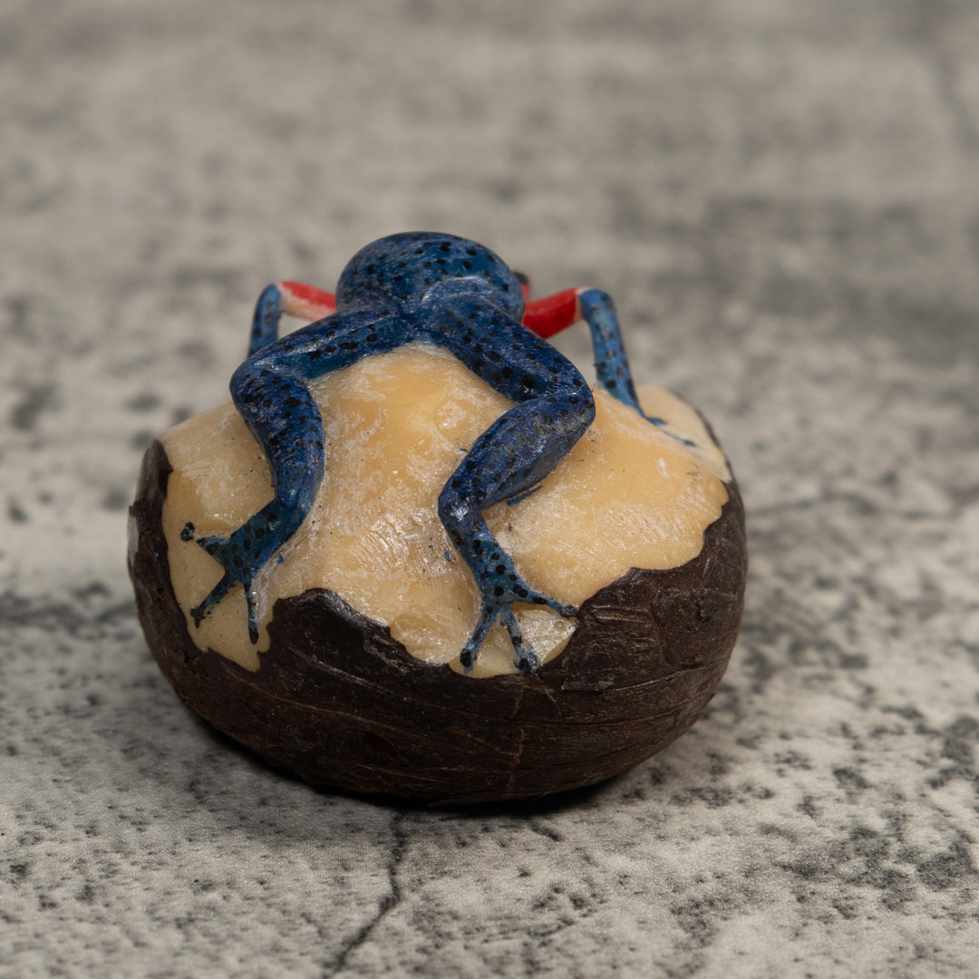 Red And Blue Poison Dart Frog Tagua Carving