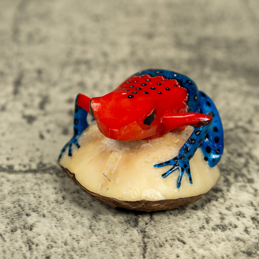 Red And Blue Poison Dart Frog Tagua Carving