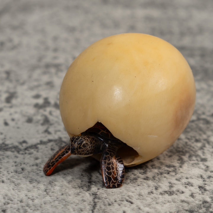 Sea Turtle Emerging From Egg Tagua Carving