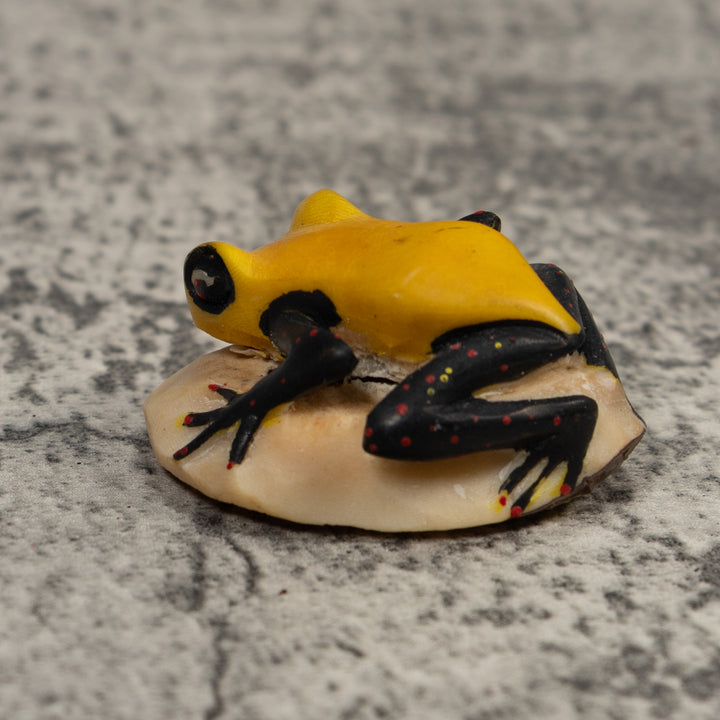 Vintage Black Red And Yellow Frog Tagua Carving