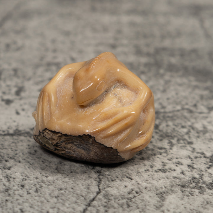 Vintage White Natural Iguana Tagua Carving