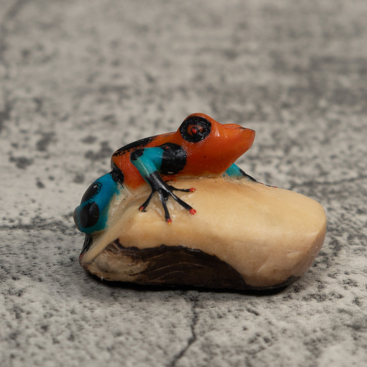 Red Blue And Black Poison Dart Frog Tagua Carving