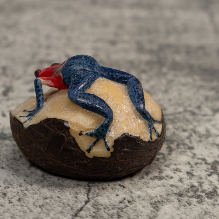 Red And Blue Poison Dart Frog Tagua Carving