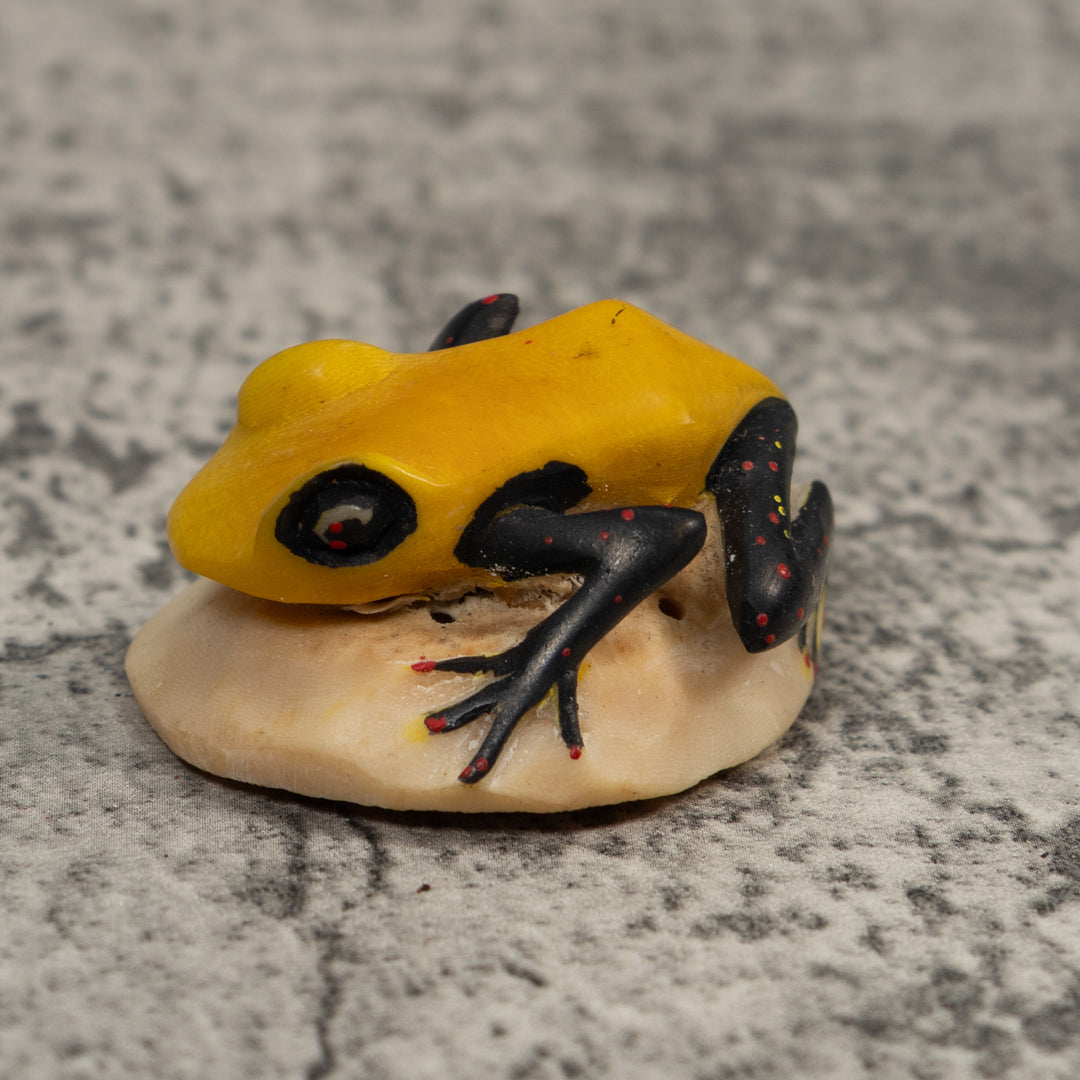 Vintage Black Red And Yellow Frog Tagua Carving