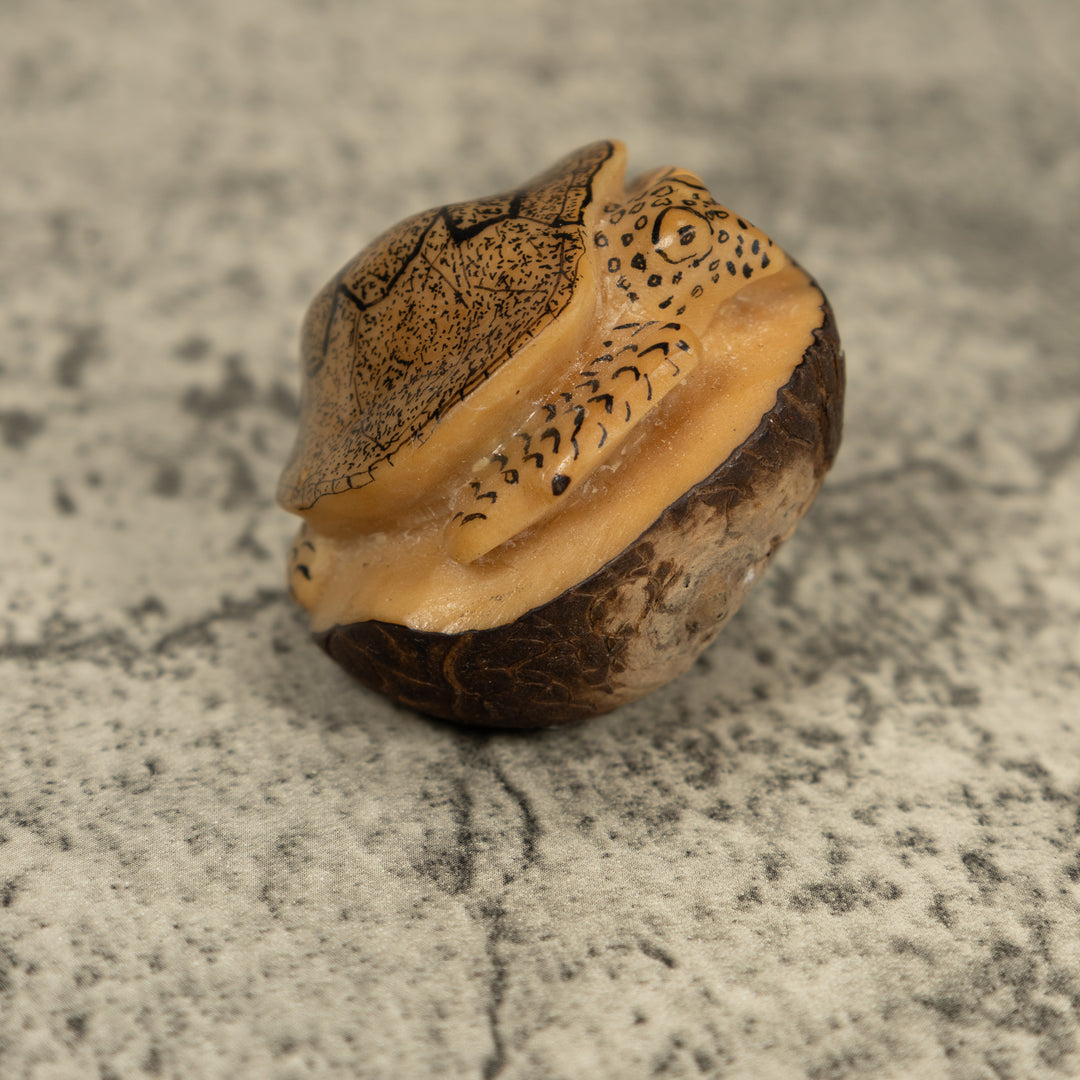 Vintage Sea Turtle Tagua Carving