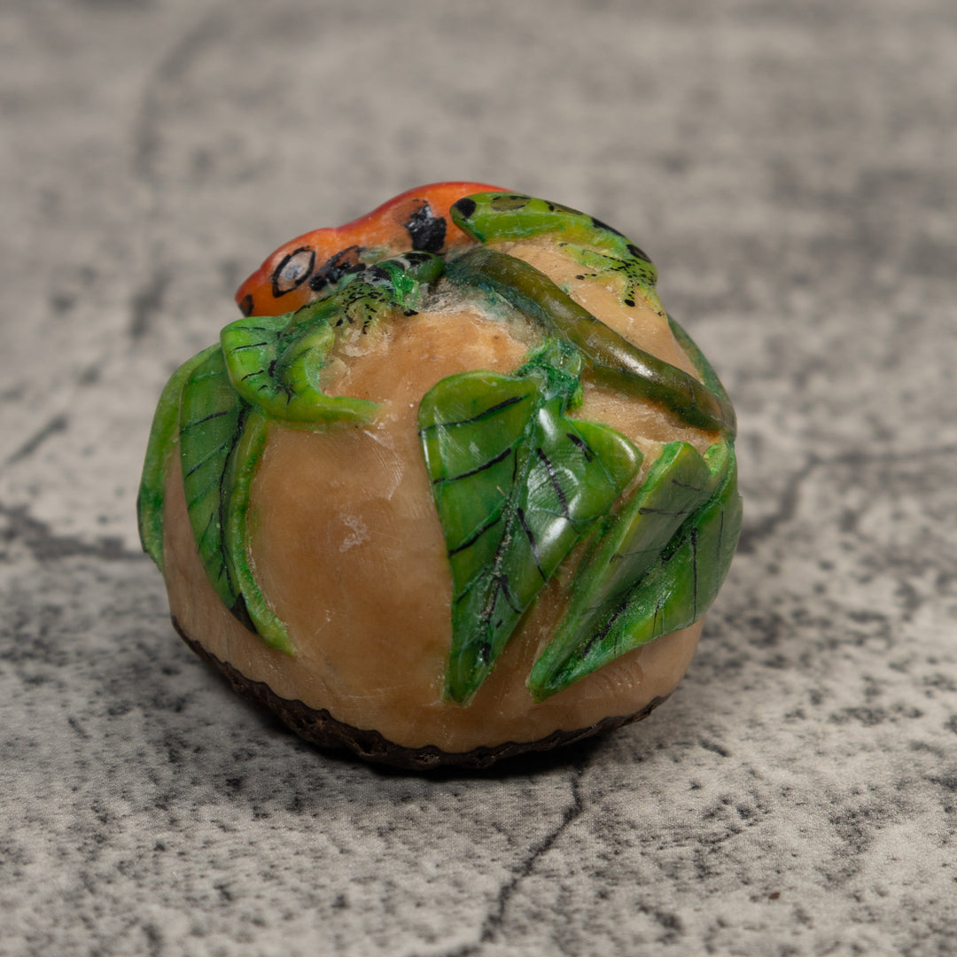 Red And Green Poison Dart Frog Tagua Carving