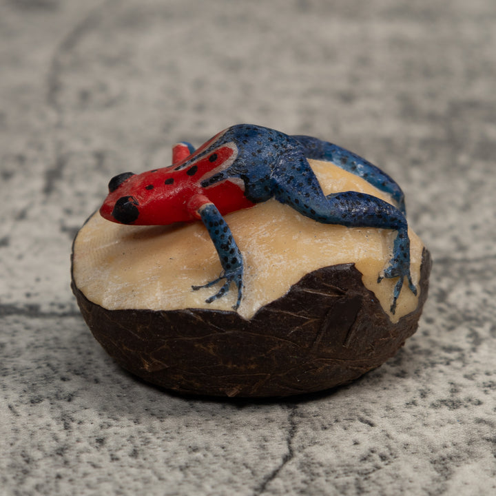 Red And Blue Poison Dart Frog Tagua Carving